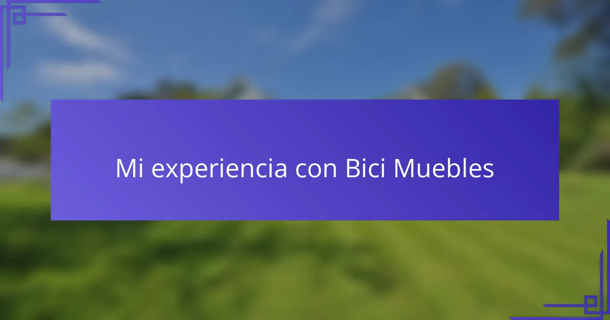 Mi experiencia con Bici Muebles